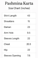 Hand embroidered Kashmiri tanka women’s pashmina kurta with delicate hand embroidery on neckline, sleeves and daman